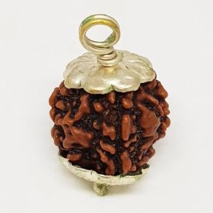 Authentic 3 Mukhi Rudraksha - Lab Certified Three Face Bead (Natural Origin)