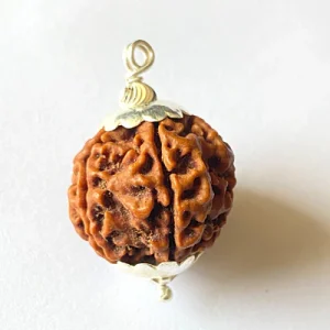 Authentic 5 Mukhi Rudraksha - Lab Certified Five Face Bead (Natural Origin)