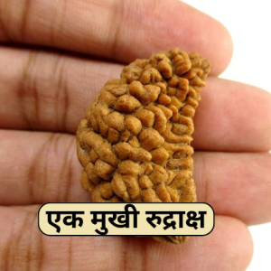 Original Ek Mukhi Rudraksha (Kaju Dana) - Natural One Face Rudraksha for Spiritual Growth