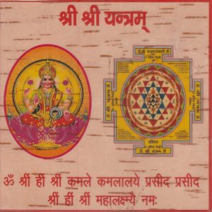Original Shri Yantra on Bhojpatra | The Ultimate Magnet for Fortune & Abundance 6*6 inch